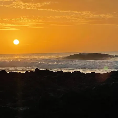 Nyaraló Lanzahost Mimosa *